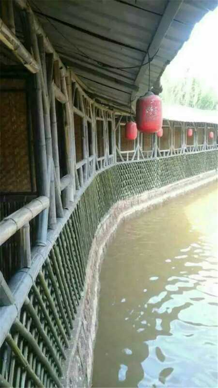 農(nóng)家樂(lè)魚塘邊竹藝走道