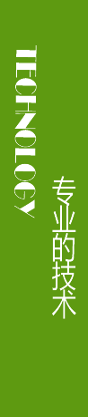 專(zhuān)業(yè)的技術(shù)